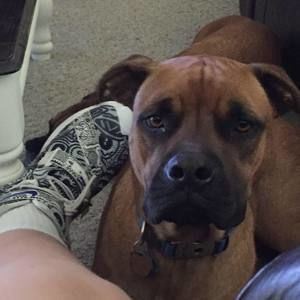 Meet your Posher, Michael a